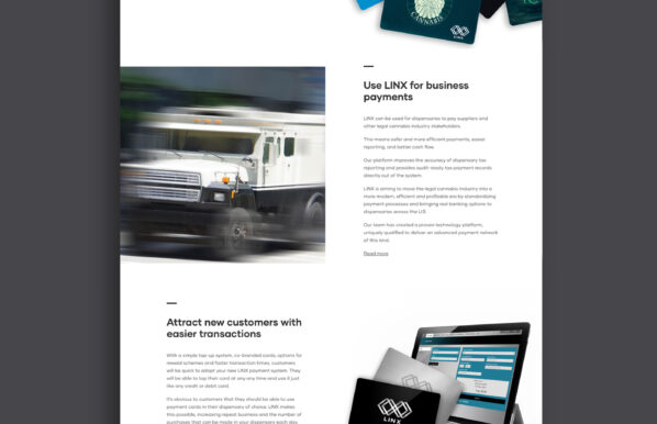 LINX web design sample 1