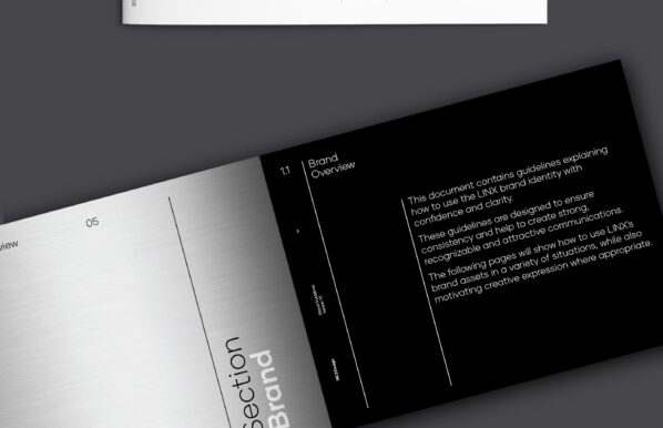 LINX brand book sample 2 for design portfolio