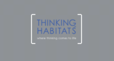 Thinking Habitats logo for website planning and copywriting portfolio